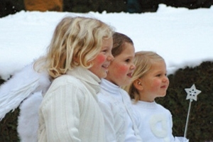 Bild des Berichts "Weihnachtsmarkt Schloss M&Atilde;&frac14;hldorf(106)"